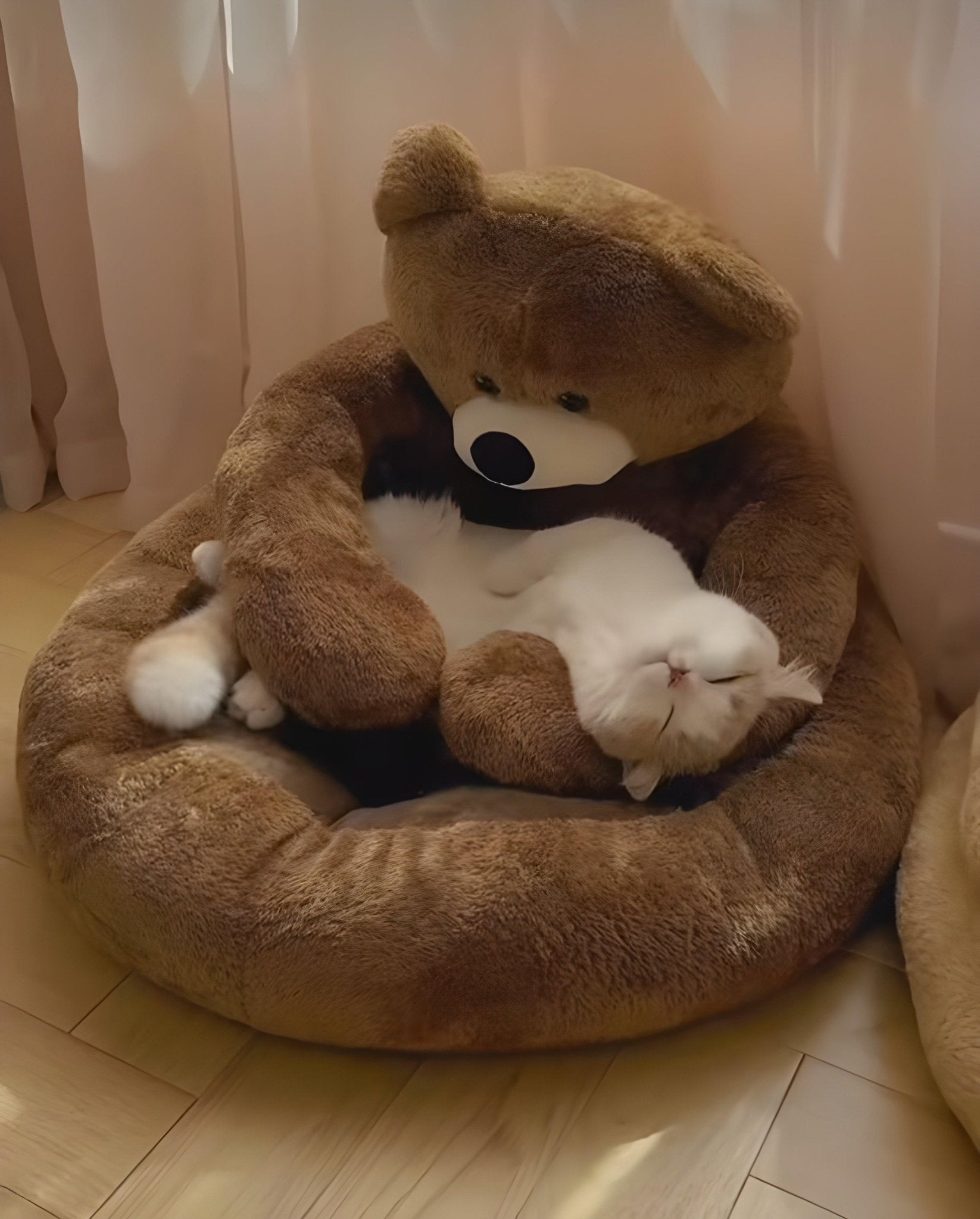 How the Right Pet Bed Can Change Your Pet’s Life - Alteris