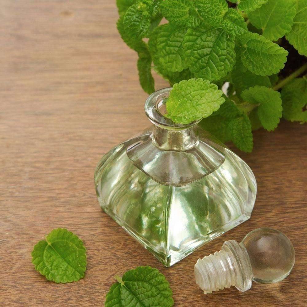 Yoga Ritual Aromatic Mat Cleaner with Essential Oils Eucalyptus Mint Alteris