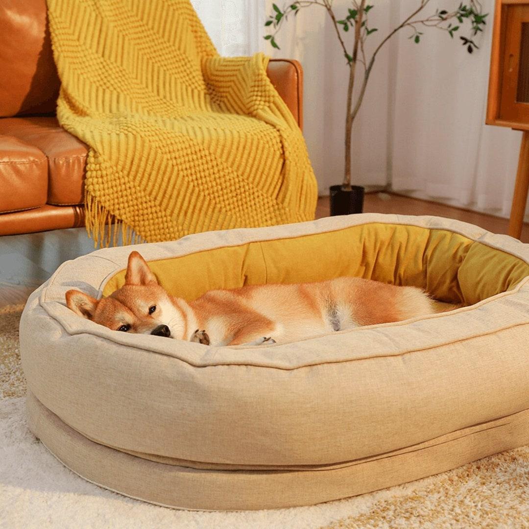 Why Every Pet Needs Their Own Cozy Space - Alteris