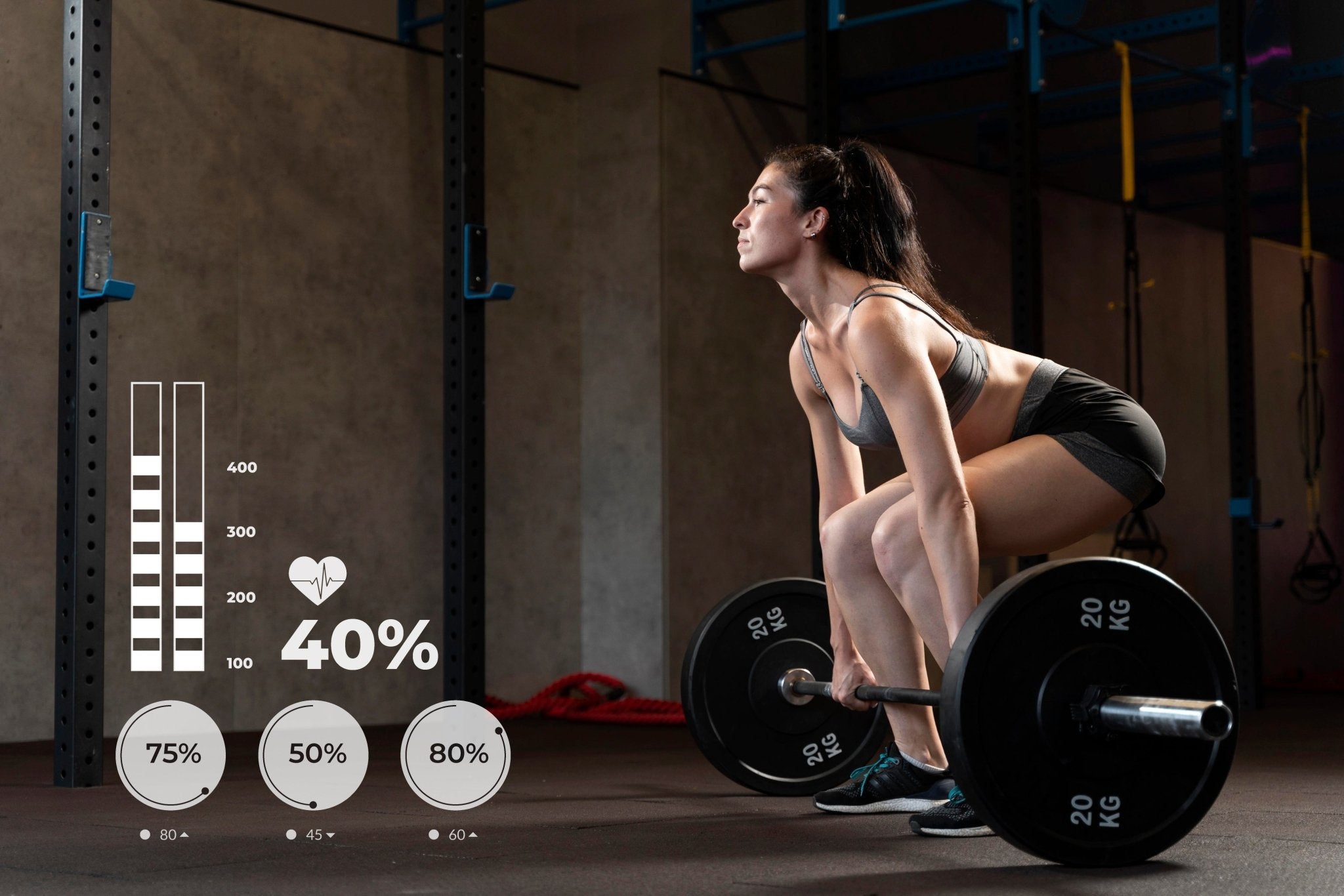 Fitness Equipment - Alteris