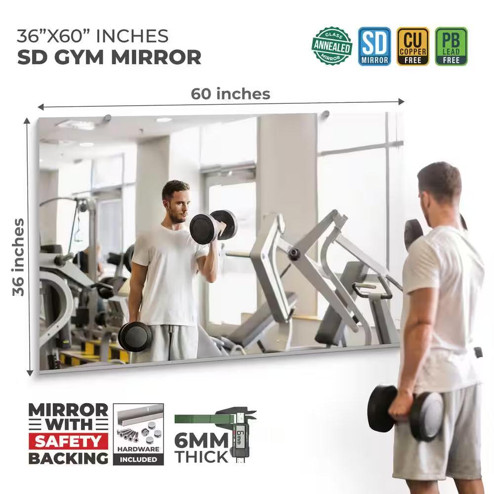 Gym Wall Mirror 36" W x 60" H with 1/4" Thick Safety-Backed Annealed Glass Alteris