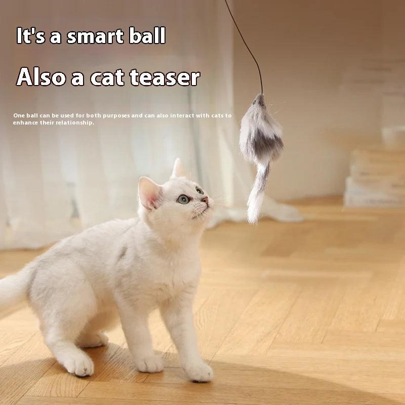 Automatic Electric Mouse Teaser Ball for Cats and Dogs with Intelligent Rolling Action Alteris