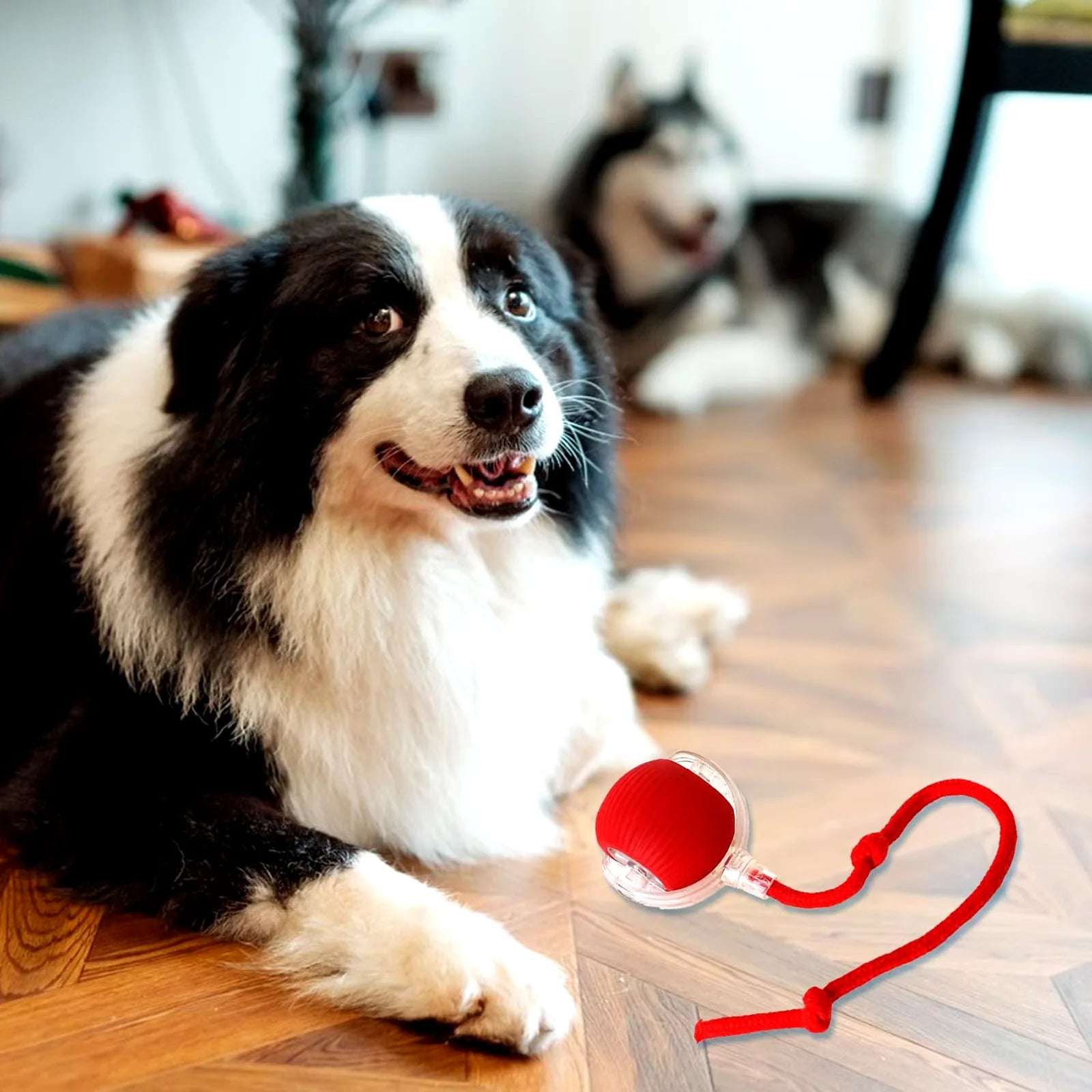 Interactive Rechargeable Rolling Ball Toy for Cats and Dogs - Alteris