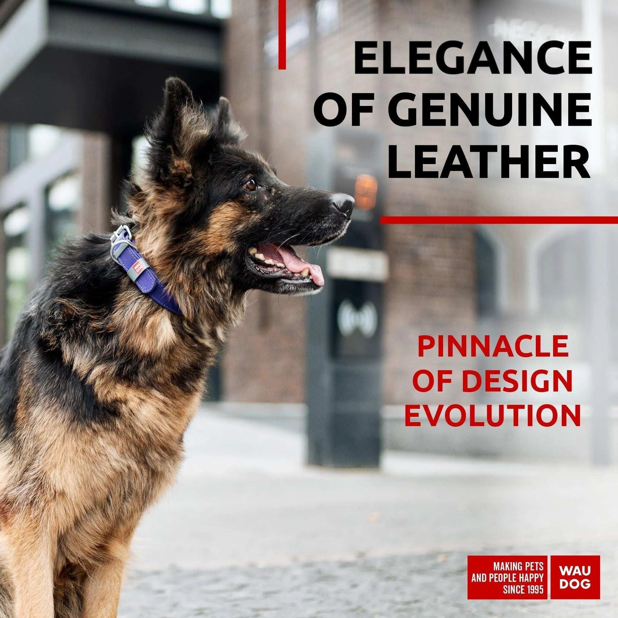 Purple Durable Leather Dog Collar for Large Dogs - Alteris